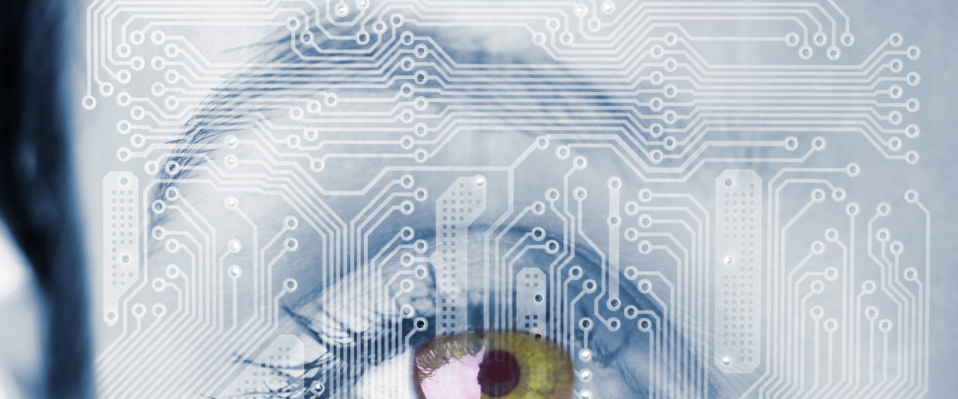 Exploring Automated Testing for AI Software Development