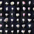 Exploring Image Recognition Solutions with Artificial Intelligence (AI)